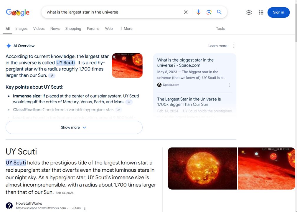 google_ai_summary_example