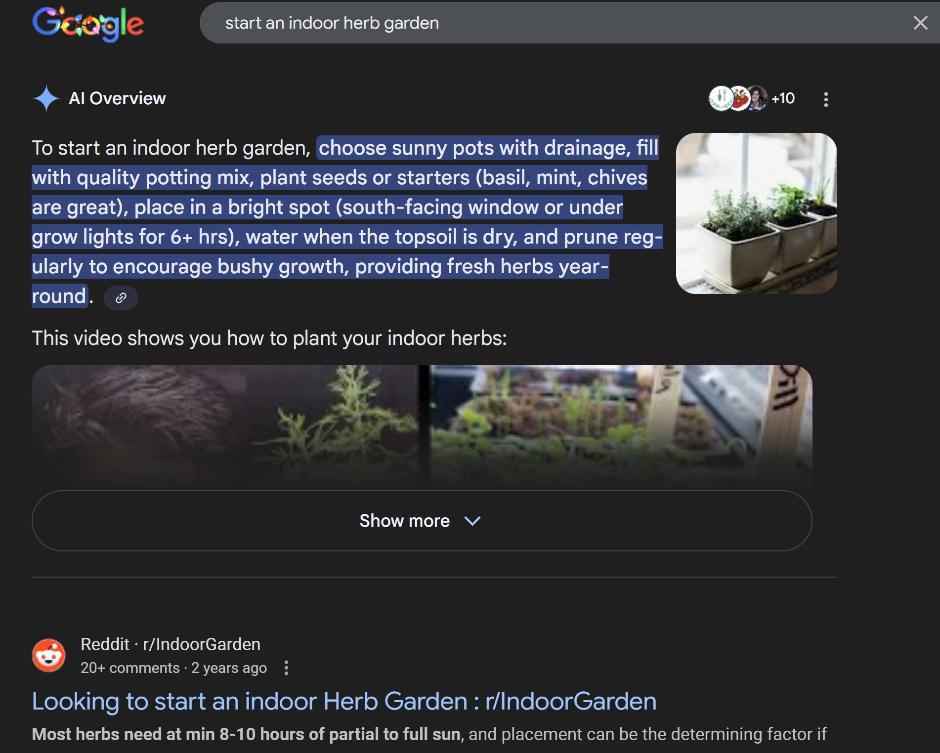 google ai overview example